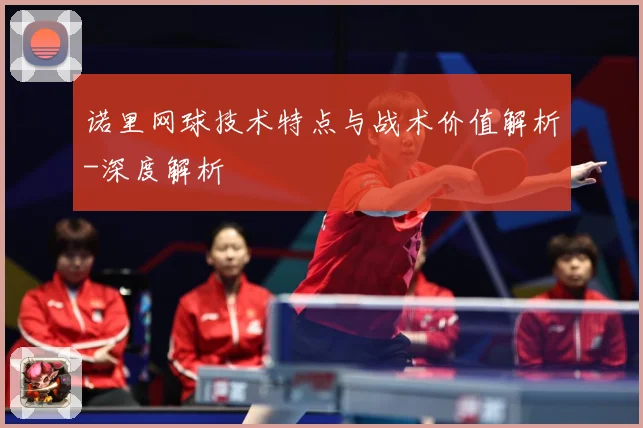 诺里网球技术特点与战术价值解析-深度解析