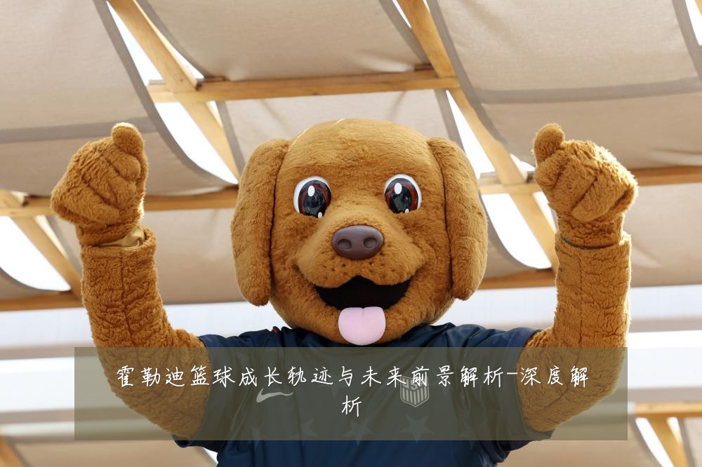 霍勒迪篮球成长轨迹与未来前景解析-深度解析